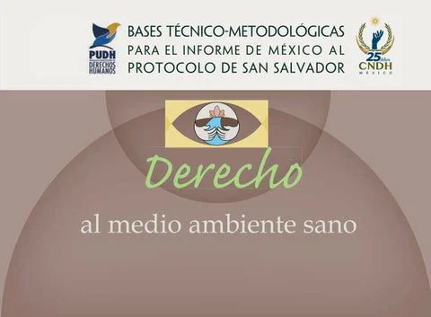 Abogados analizan la vulneración del derecho al ambiente sano