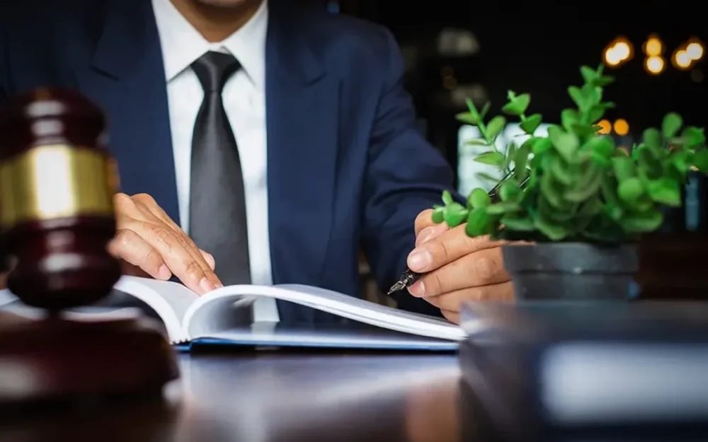 Abogados en delitos ambientales: ¿quién aplica las sanciones?