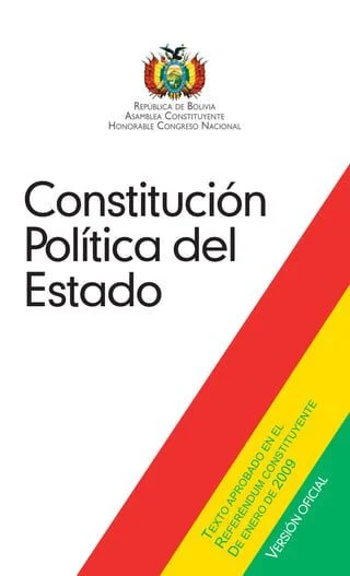 Artículo 144 de la CPE: Puntos esenciales para abogados