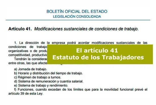 Artículo 41: Guía completa sobre abogados y su función