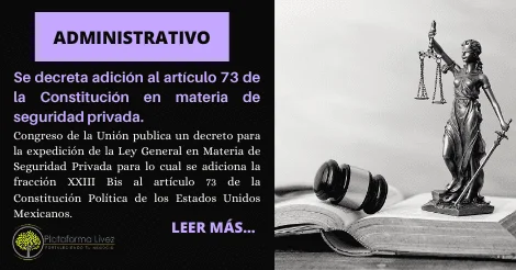Artículo 73 de la Constitución: guía esencial para abogados