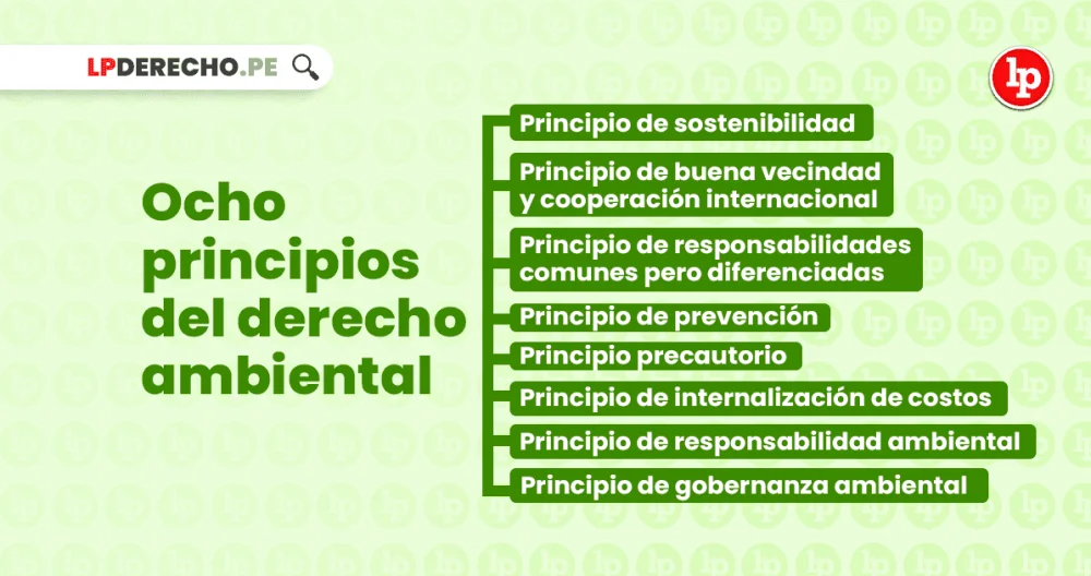 Aspectos clave del artículo 1 de la ley ambiental
