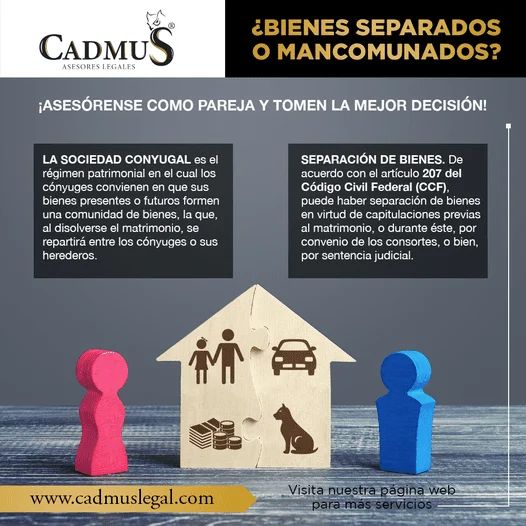 Cómo perder los derechos de la sociedad conyugal: asesoría legal