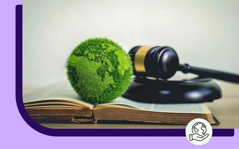 El Cuidado Ambiental como Derecho: Perspectiva Legal de Abogados