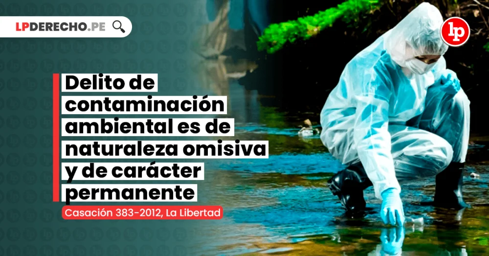 Implicaciones jurídicas de los delitos ambientales masculinos