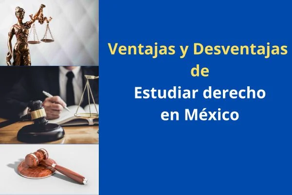 Desventajas de estudiar derecho y estrategias para superarlas