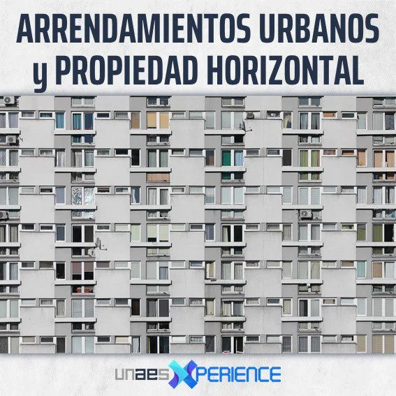 Duración del estudio de suelo: abogados especializados te asesoran
