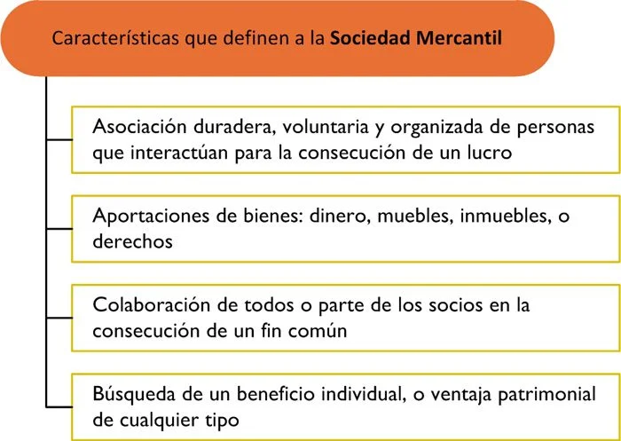 Ejemplos de aspectos mercantiles en el ámbito legal