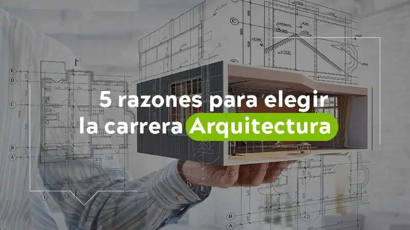 Estudiar medicina vs arquitectura: ¿cuál es más desafiante?