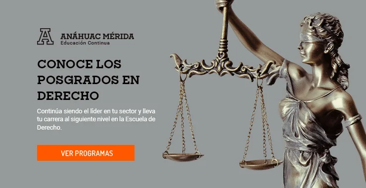 Principales programas de maestría en derecho para abogados