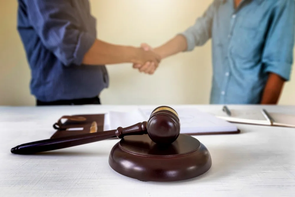 Adopción sencilla: guía completa de abogados expertos