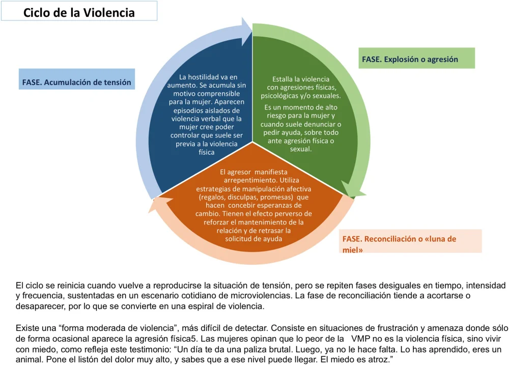 Efectos del maltrato en el cerebro femenino: guía legal