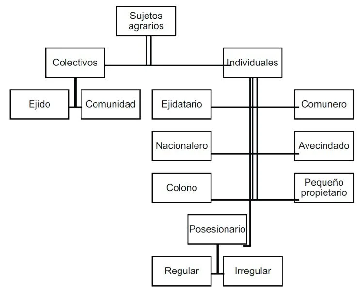 Artículo 101 de la Ley Agraria: Implicaciones para Abogados