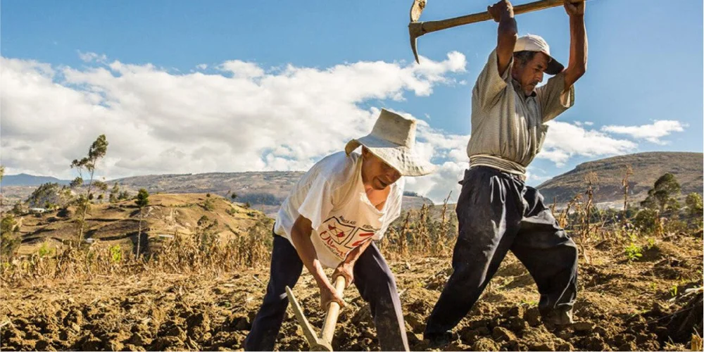 Artículo 13 de la Ley Agraria: Impacto en el Sector Legal