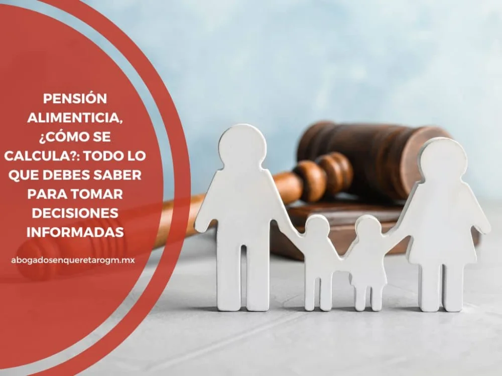Calcula la pensión alimenticia adecuada para el padre