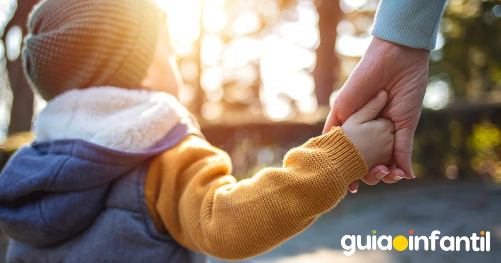 Derechos y consentimiento en la adopción: guía legal esencial