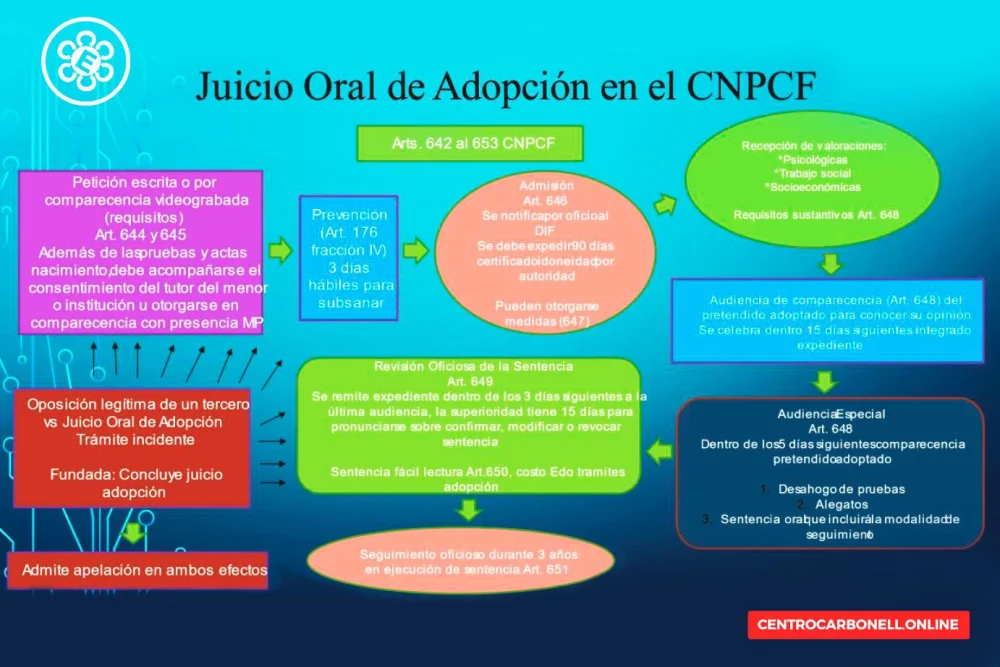 Duración estimada del proceso de adopción con abogados expertos