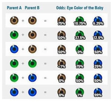 El color de ojos de los hijos: ¿Quién lo decide?