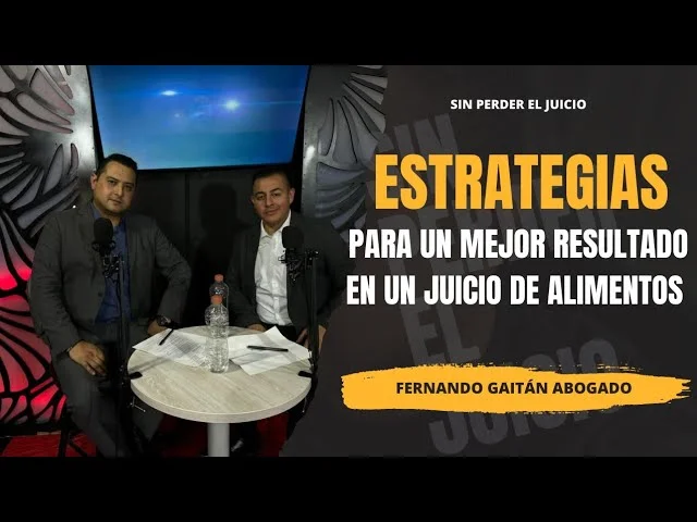 Eliminar la demanda de alimentos: estrategias efectivas | Abogados expertos