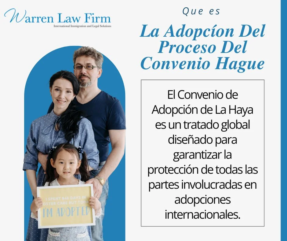 Guía de abogados para la devolución de un niño adoptado