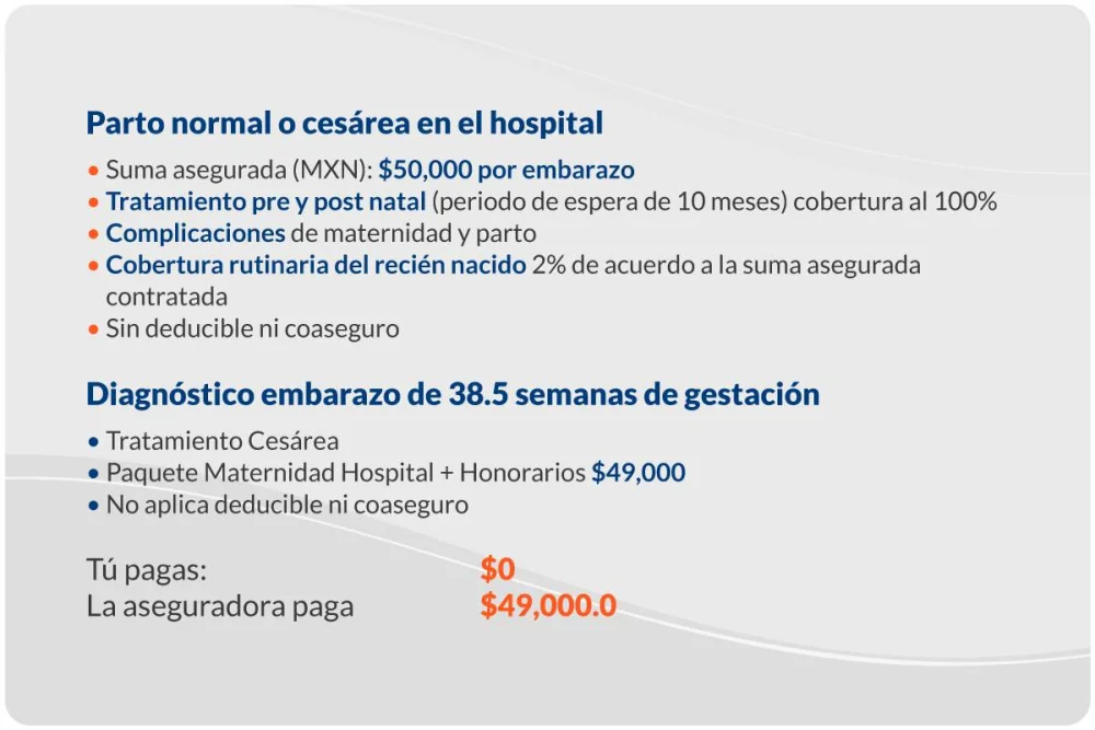 Honorarios legales en casos de embarazo: costos a considerar