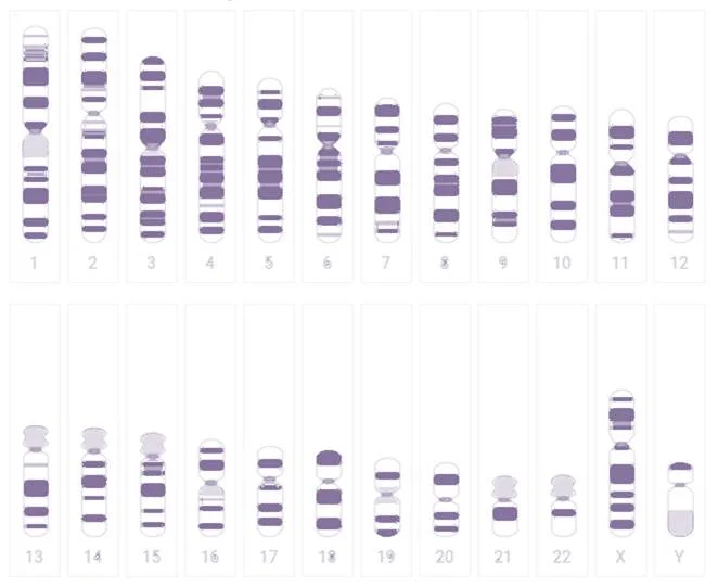 Identifica el gen más influyente en casos legales