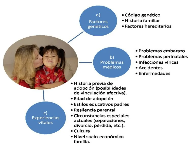 La adopción y su impacto en la vida infantil