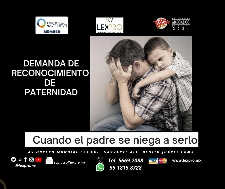 Paternidad no biológica: Términos legales explicados por abogados
