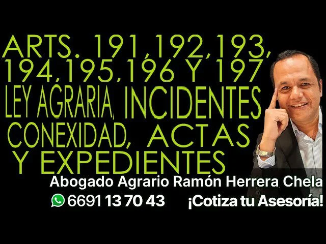 Artículo 191 de la ley agraria: implicaciones según abogados expertos