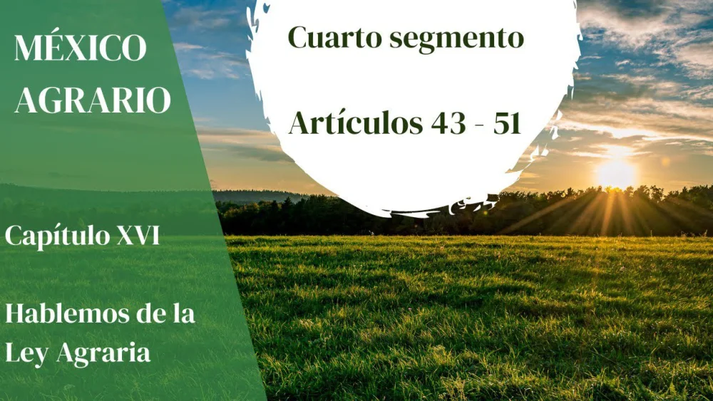 Artículo 43 de la ley agraria: guía completa de expertos