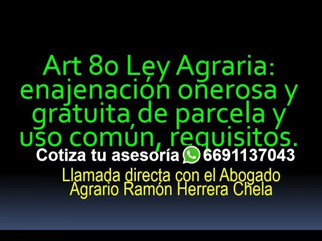 Artículo 80 de la Ley Agraria: Su Relevancia Legal