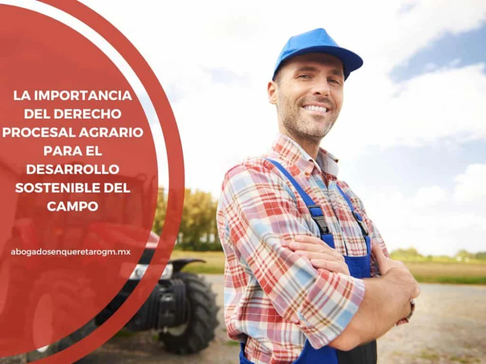 Aspectos clave del derecho agrario para abogados eficaces