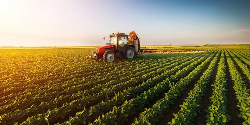 Claves esenciales para abogados en derecho agrario