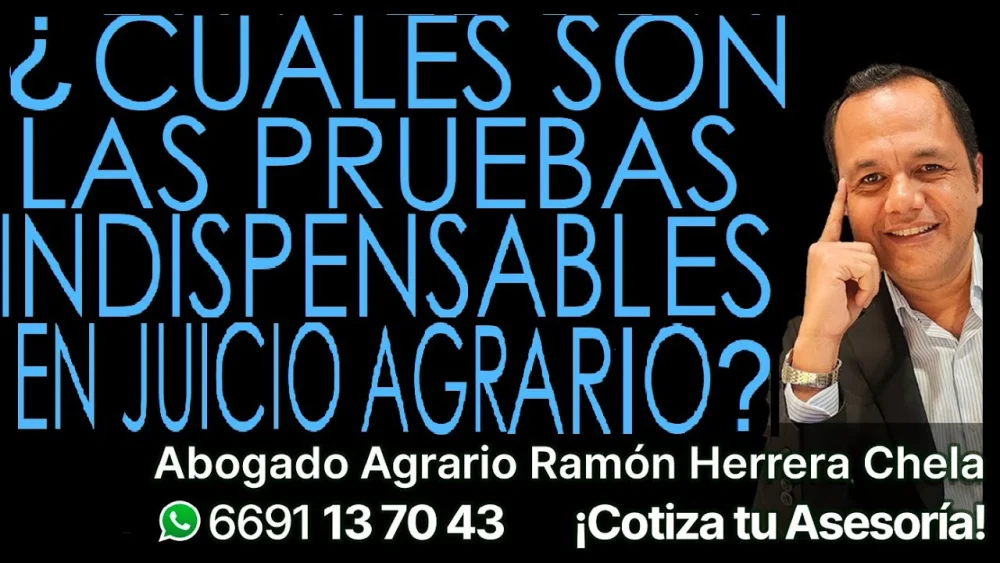 Guía completa sobre juicios agrarios: opiniones de abogados expertos