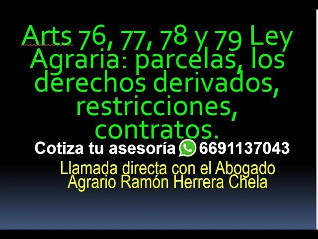 Guía esencial del artículo 77 de la ley agraria para abogados