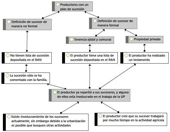 Guía legal para seleccionar el sucesor de un ejidatario
