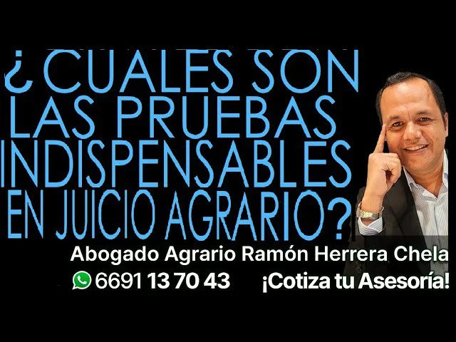 Tipos y requisitos de pruebas en juicios agrarios para abogados