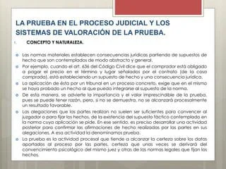 Valoración de pruebas por el juez: impacto en el proceso legal