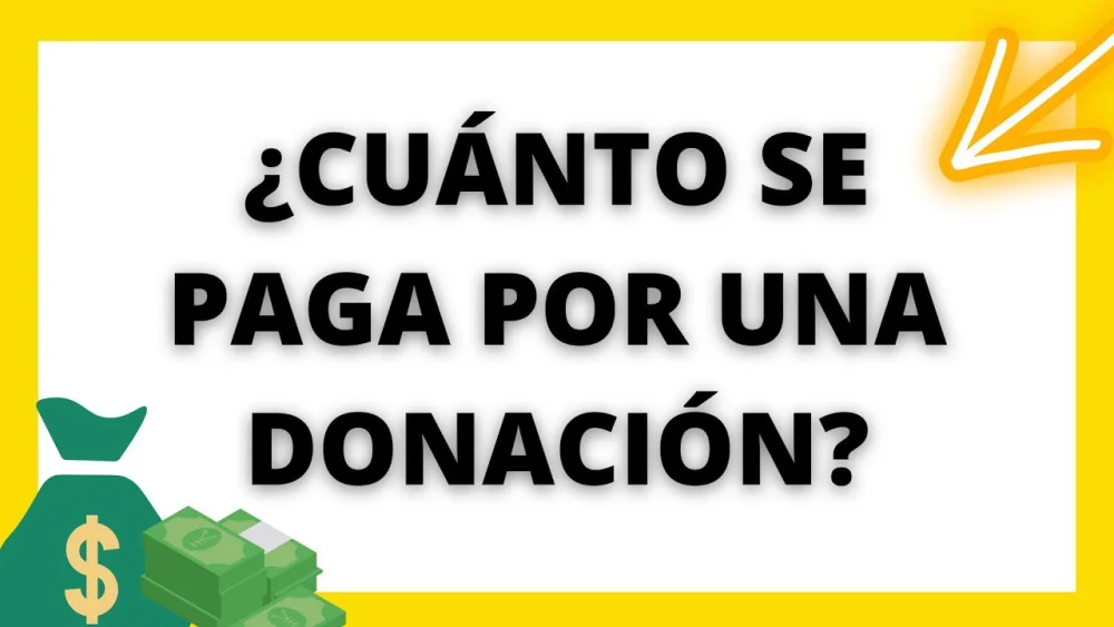 Guía completa sobre el costo de donación de 10000 euros