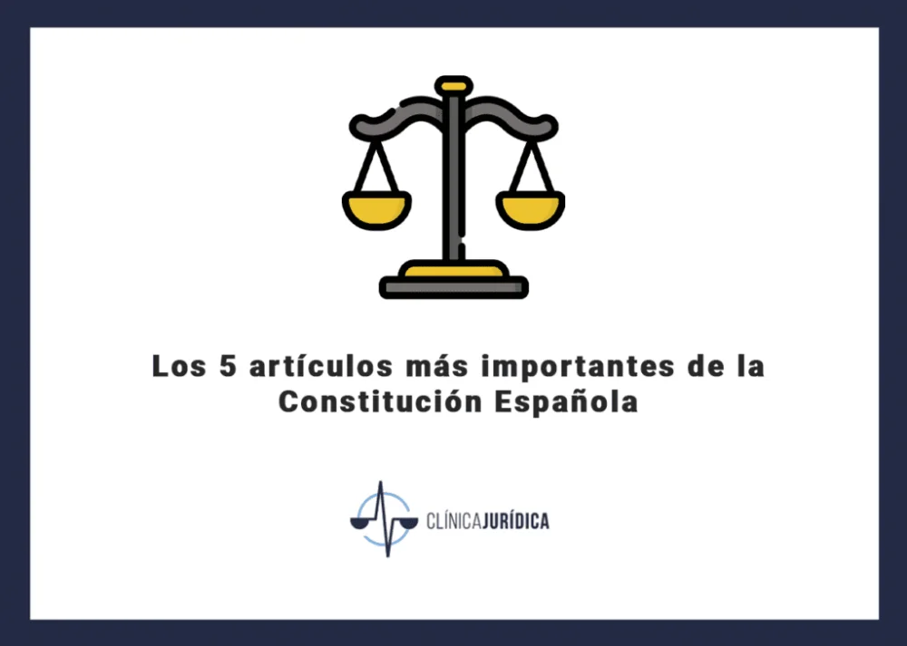 Artículo 141 de la Constitución: Su relevancia según abogados expertos