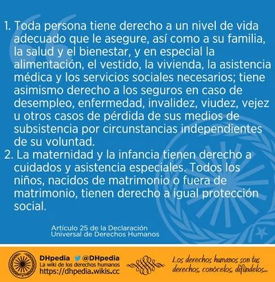 Artículo 25 y 26: Información esencial para abogados