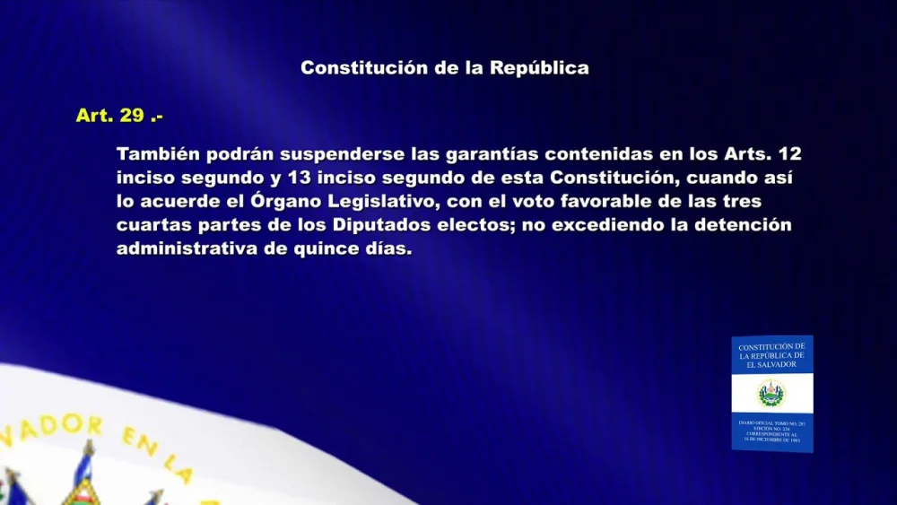 Artículo 29 de la Constitución: Guía esencial por abogados expertos