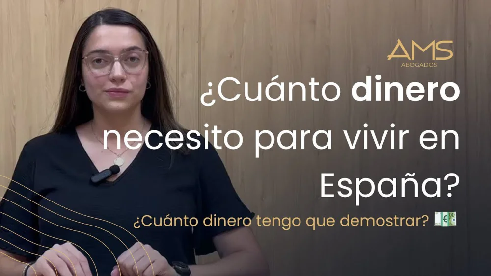 ¿Cuánto dinero diario necesitas en España? Consejos de abogados expertos