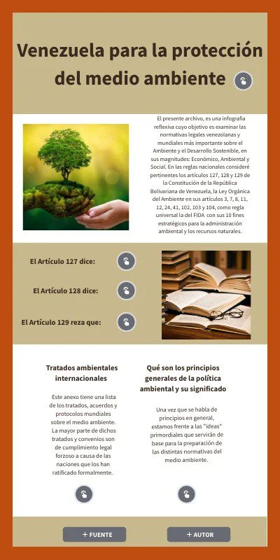 Artículo 127: Interpretación y relevancia en el ámbito legal