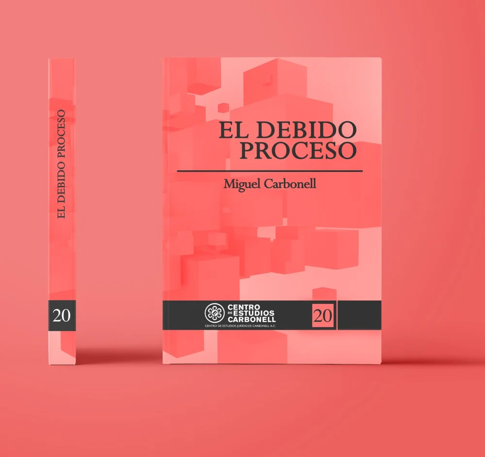Derechos del debido proceso: una guía esencial para abogados