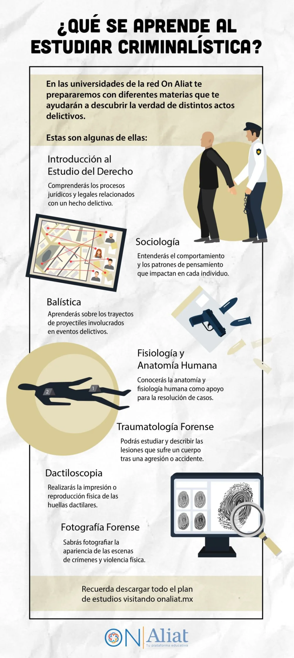 Duración de la carrera de abogacía en criminalística: información esencial