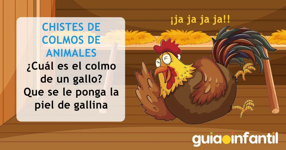 El colmo de la gallina en el mundo legal