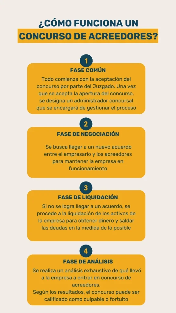 Fases del concurso de acreedores: guía esencial del proceso legal