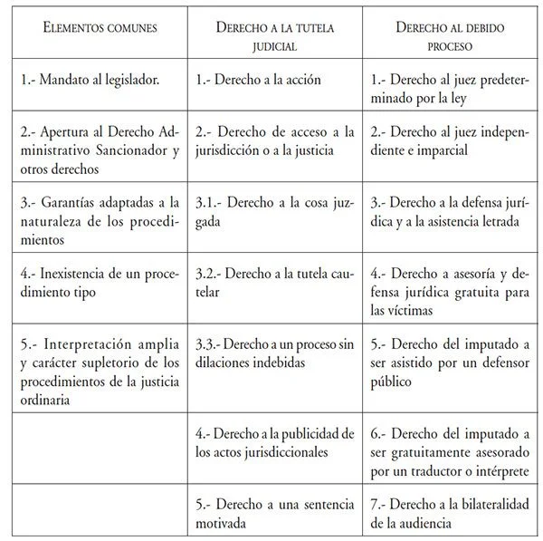 Importancia del Debido Proceso: Consecuencias Legales Explicadas por Abogados
