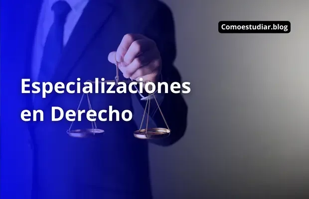 Opciones de carrera altamente demandadas para abogados